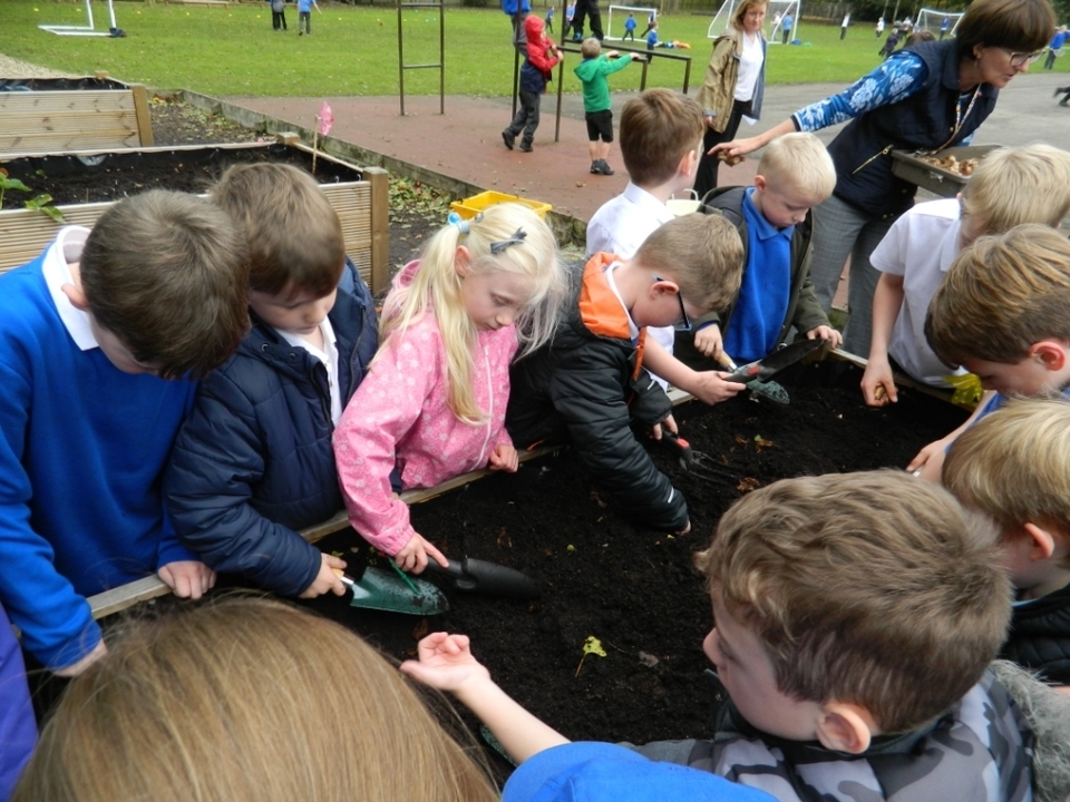 children planting